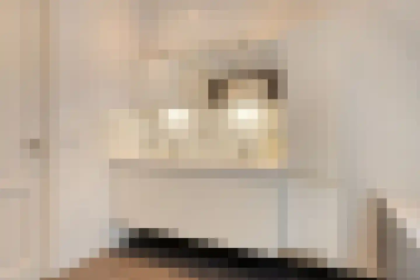 Noordeinde 43 Lambertschaag thumbnail 35