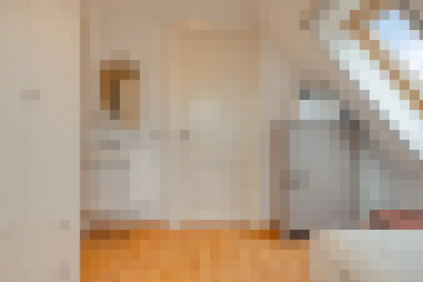 Noordeinde 43 Lambertschaag thumbnail 43
