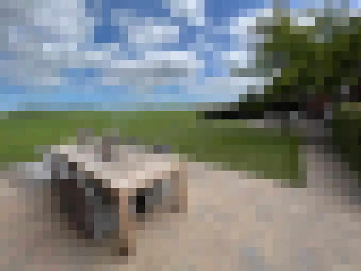 Noordeinde 43 Lambertschaag thumbnail 5