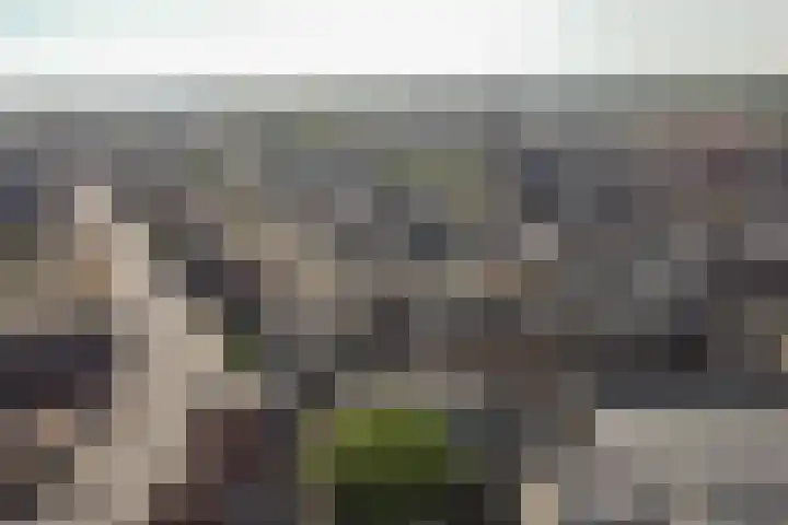 Noordeinde 46 Katwijk thumbnail 36