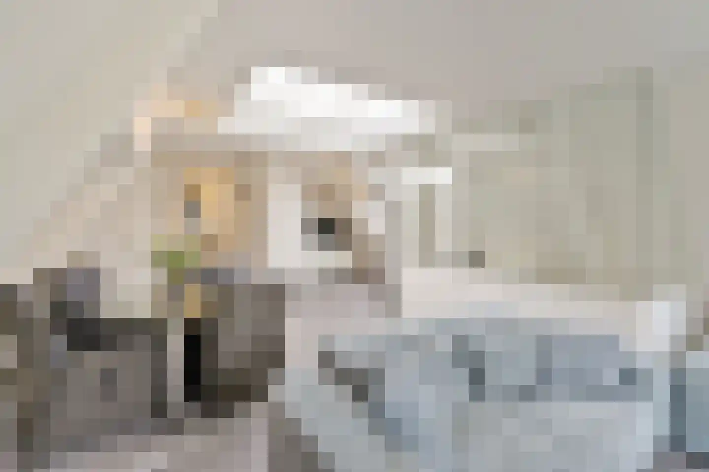 Noordeinde 46 Monnickendam thumbnail 10
