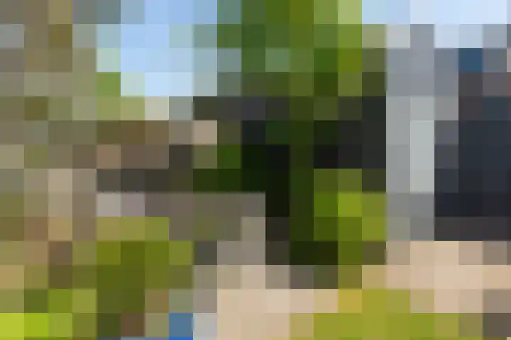 Noordeinde 46 Monnickendam thumbnail 39