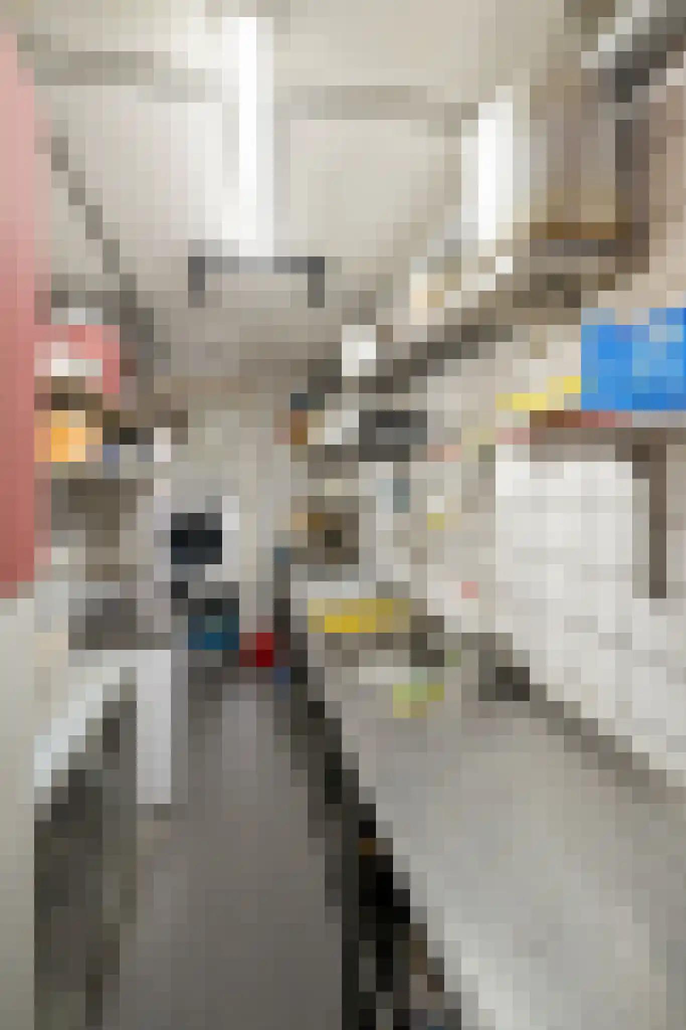 Noordeinde 46 Monnickendam thumbnail 83