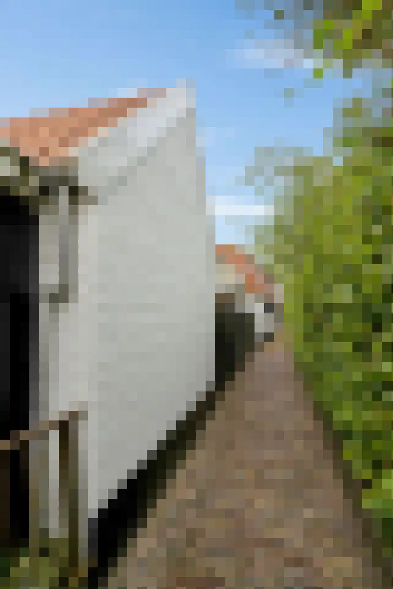 Noordeinde 46 Monnickendam thumbnail 91