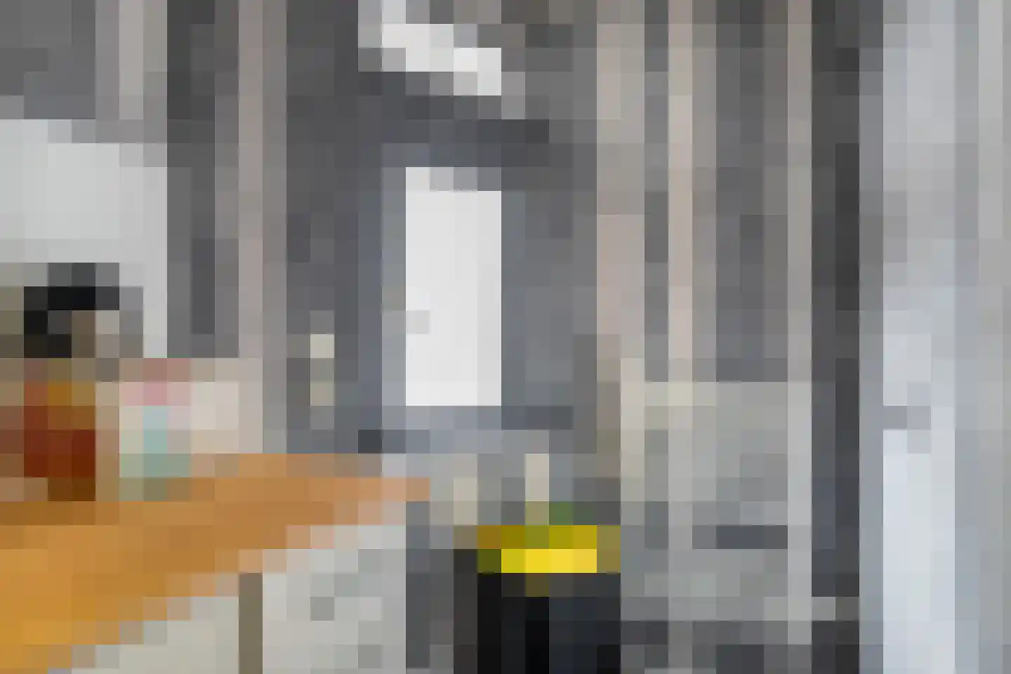 Noordeinde 46 Spijkenisse thumbnail 13