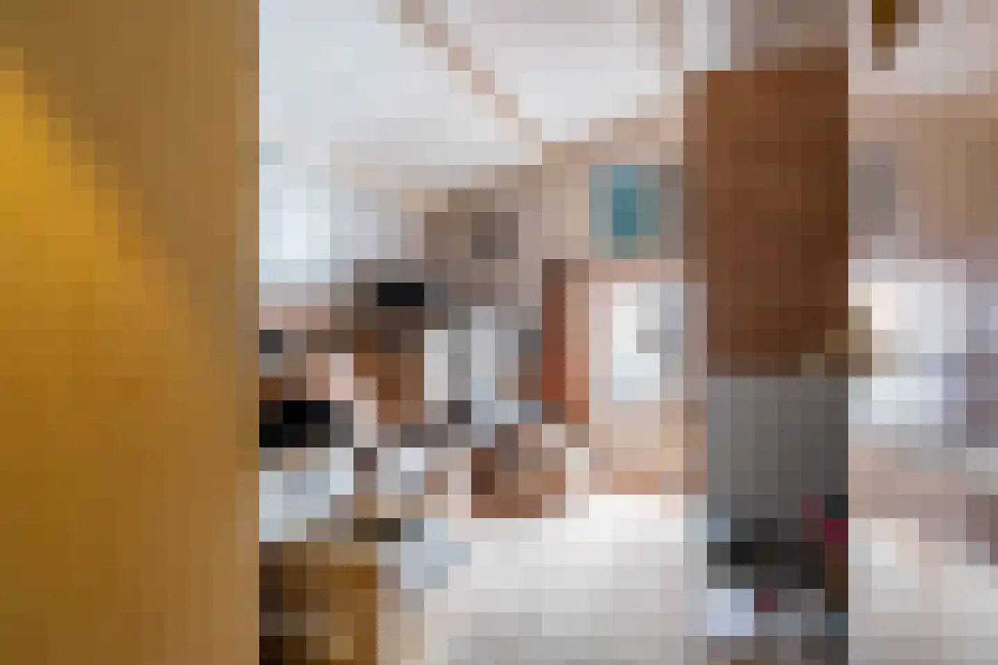 Noordeinde 46 Spijkenisse thumbnail 19