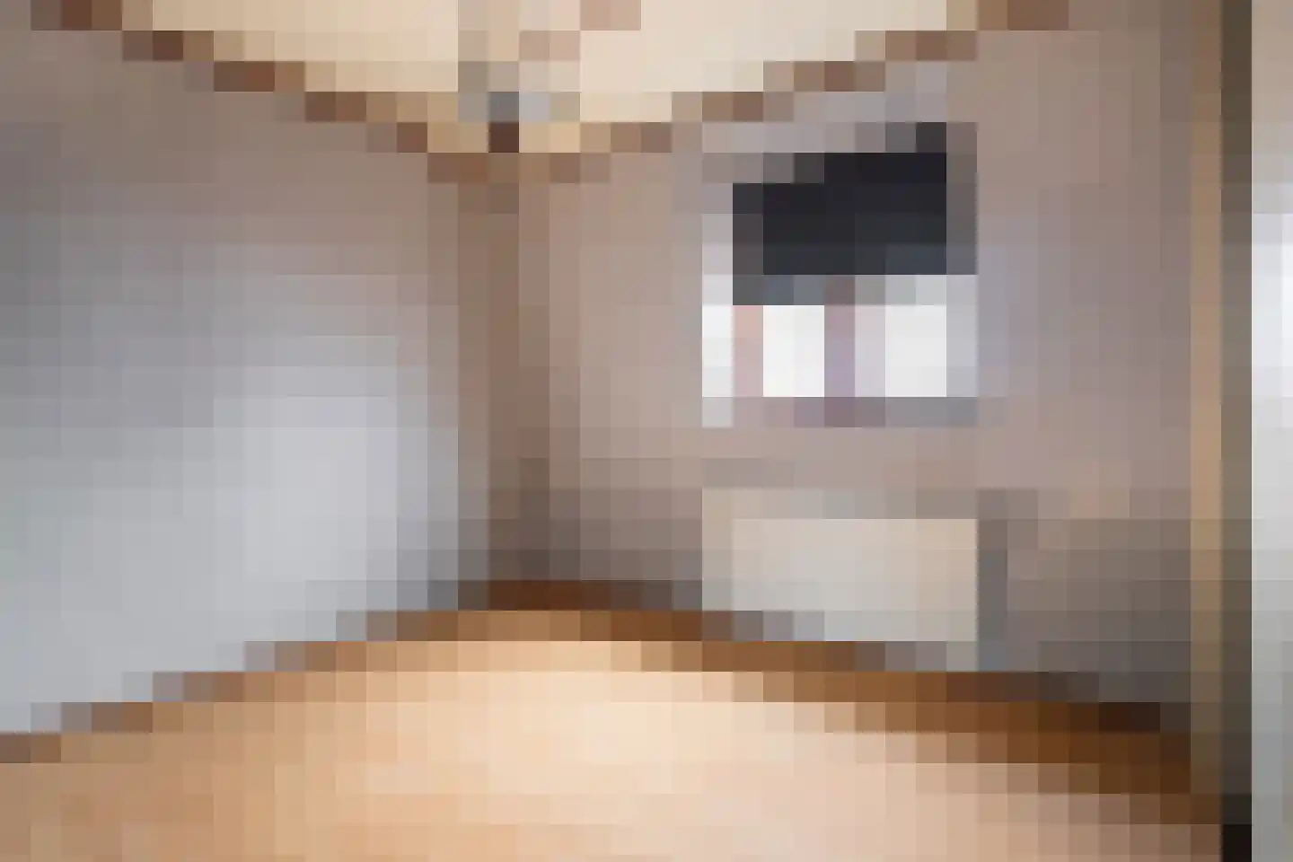 Noordeinde 46 Spijkenisse thumbnail 32