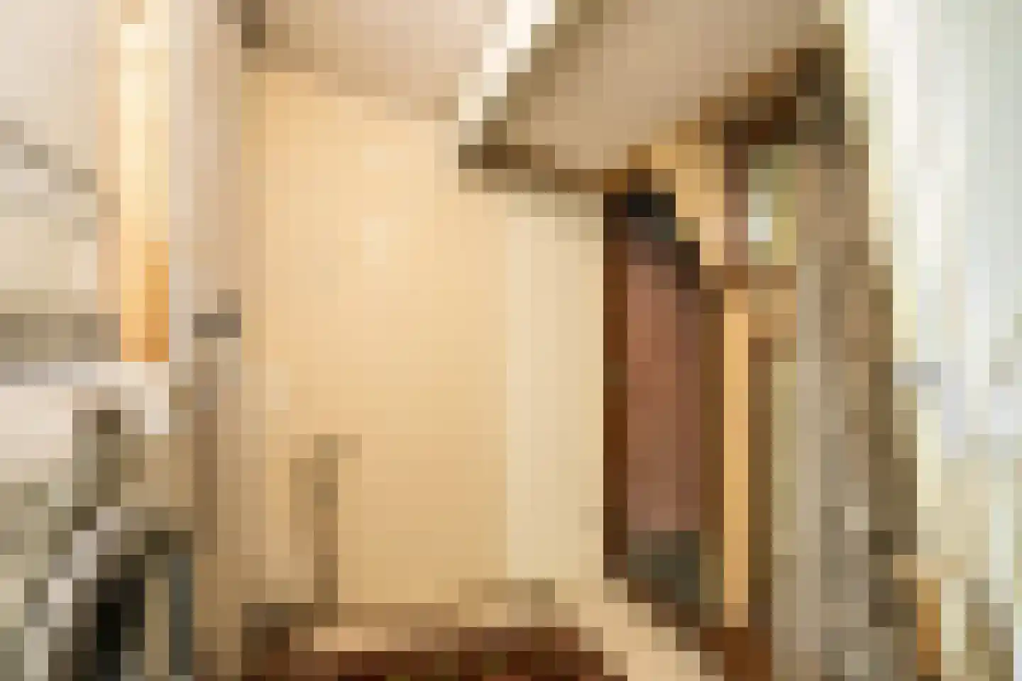Noordeinde 46 Spijkenisse thumbnail 35