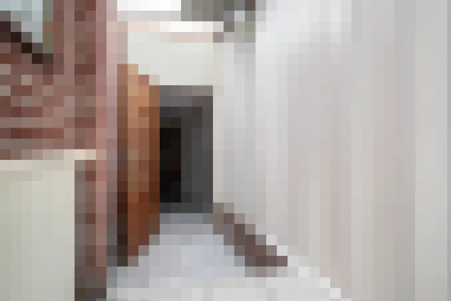 Noordeinde 46 Spijkenisse thumbnail 36