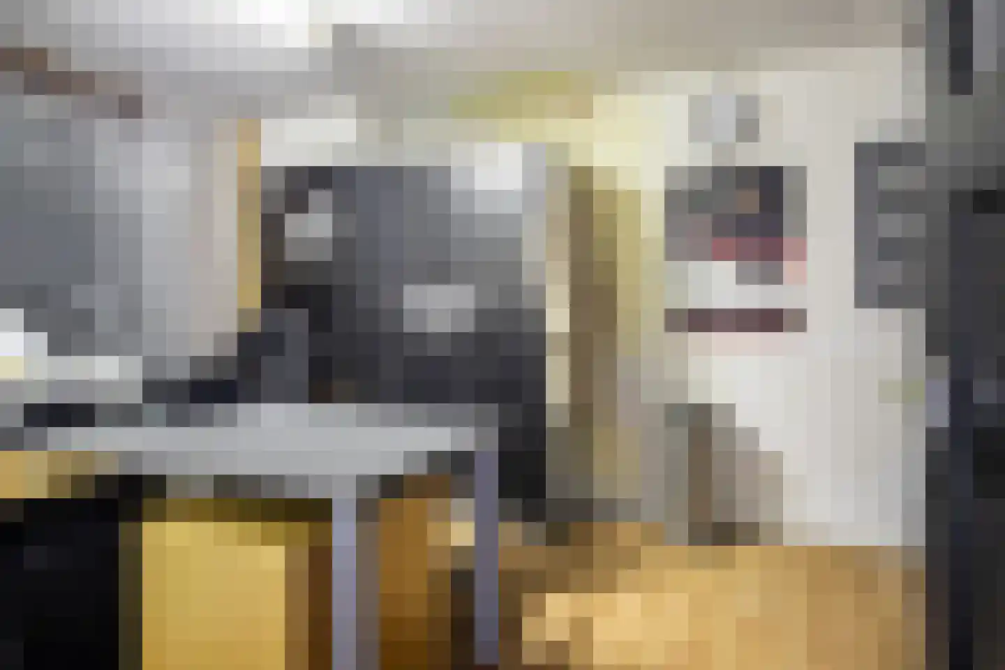 Noordeinde 46 Spijkenisse thumbnail 49