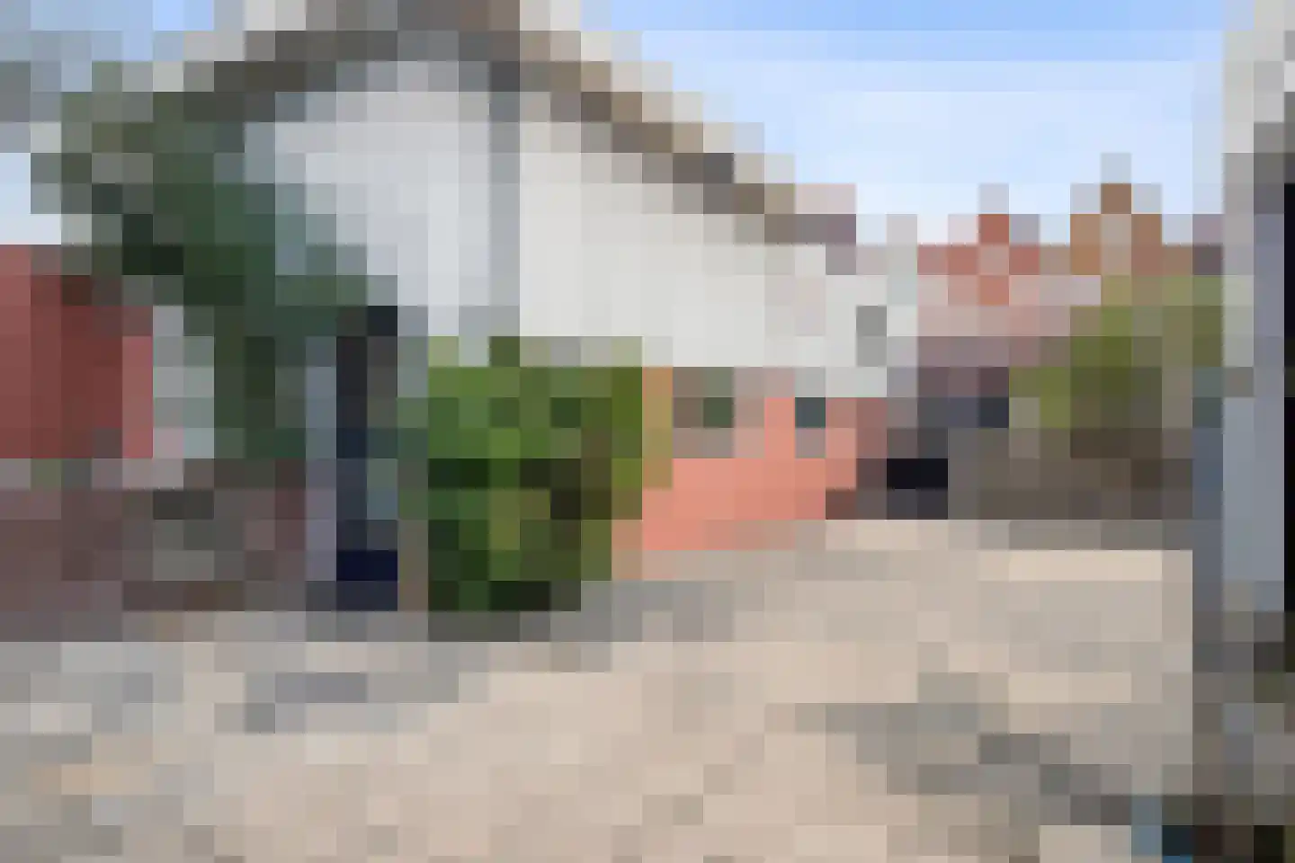Noordeinde 46 Spijkenisse thumbnail 59