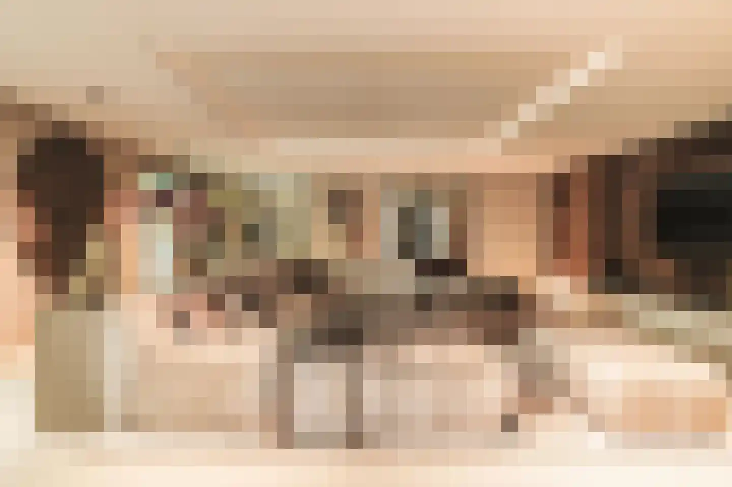 Noordeinde 47 Landsmeer thumbnail 11