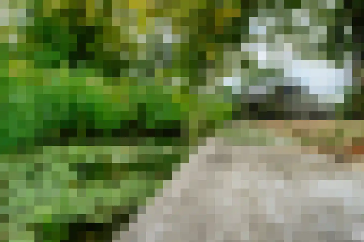 Noordeinde 47 Landsmeer thumbnail 40
