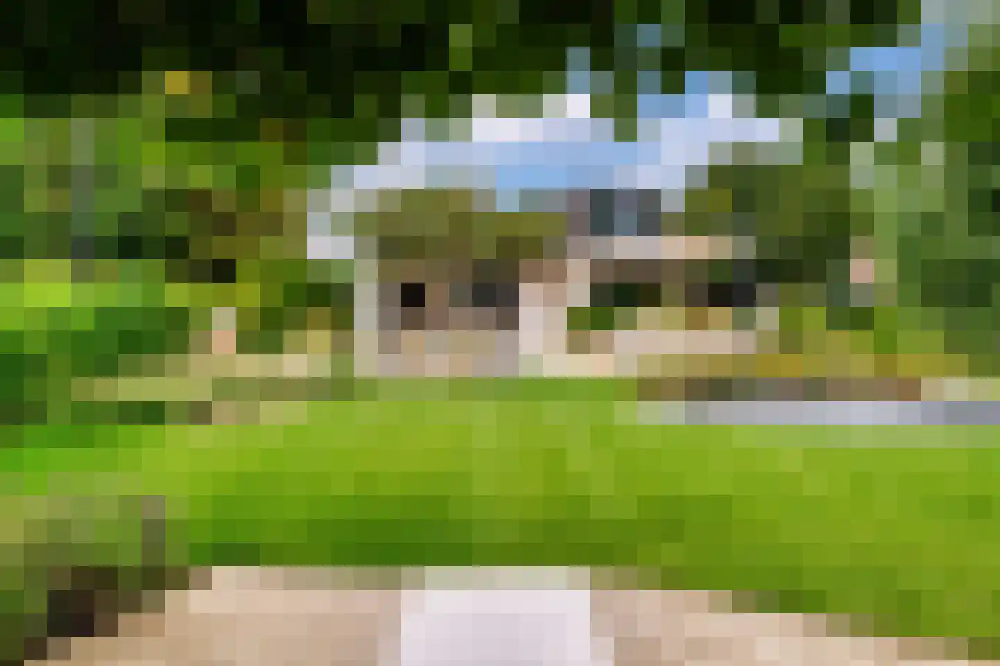 Noordeinde 47 Landsmeer thumbnail 43