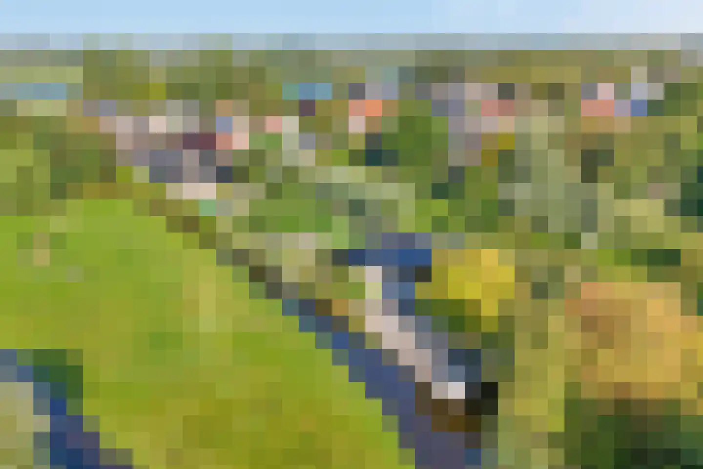 Noordeinde 47 Landsmeer thumbnail 60