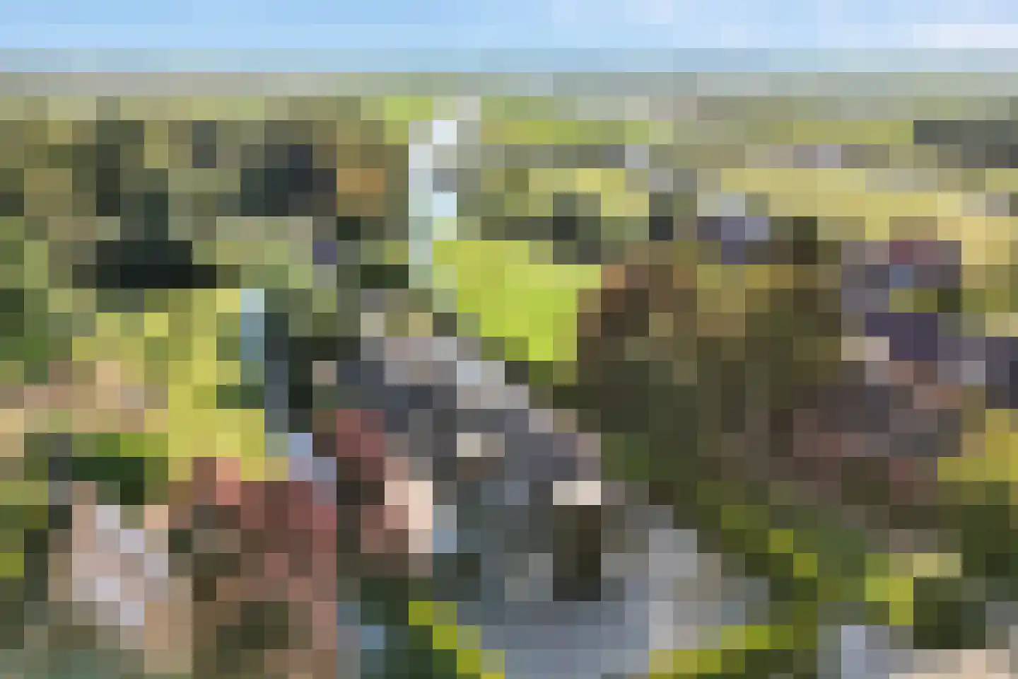 Noordeinde 47 Landsmeer thumbnail 61