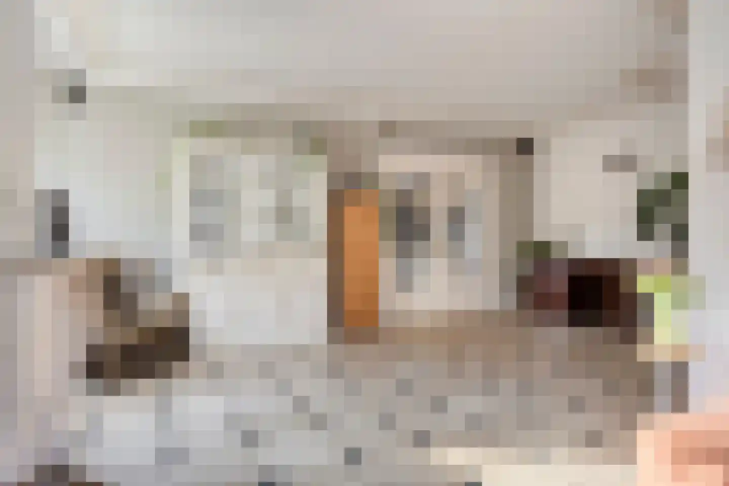 Noordeinde 5 Rijnsburg thumbnail 13