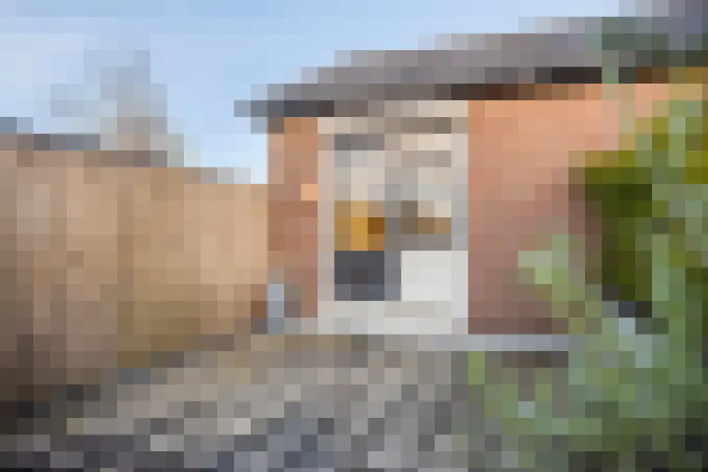 Noordeinde 5 Rijnsburg thumbnail 26