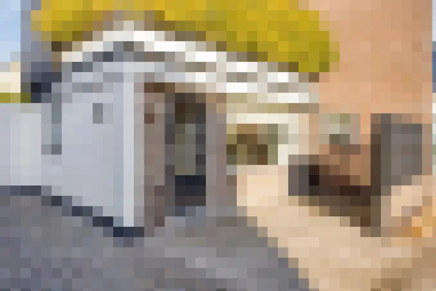Noordeinde 5 Rijnsburg thumbnail 29