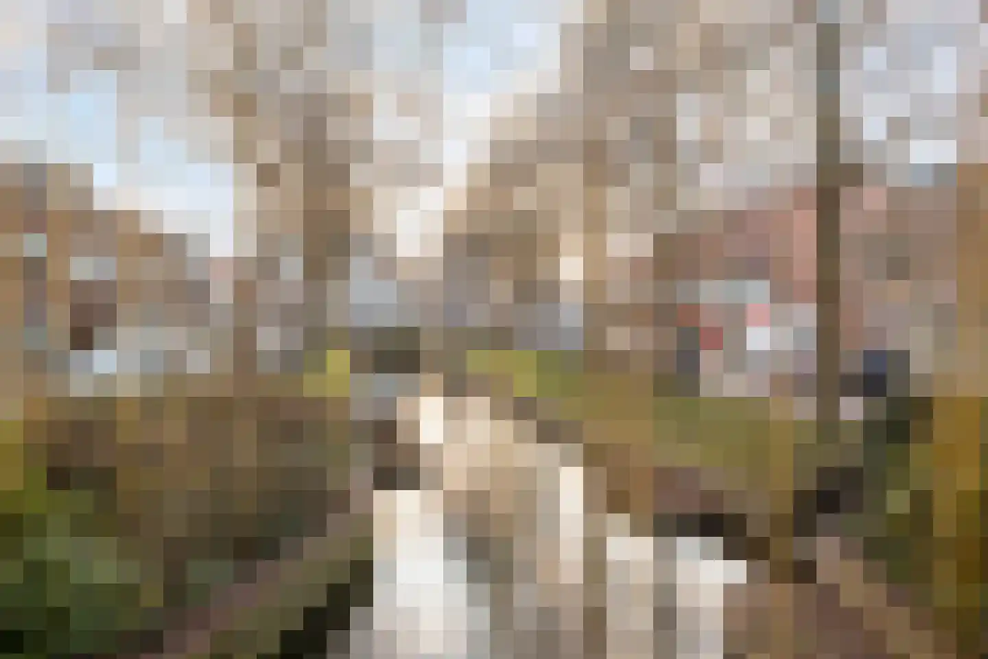Noordeinde 5 Rijnsburg thumbnail 35