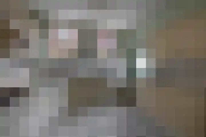 Noordeinde 5 Zevenhuizen thumbnail 12