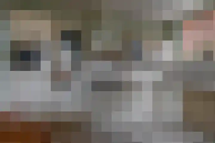 Noordeinde 5 Zevenhuizen thumbnail 13