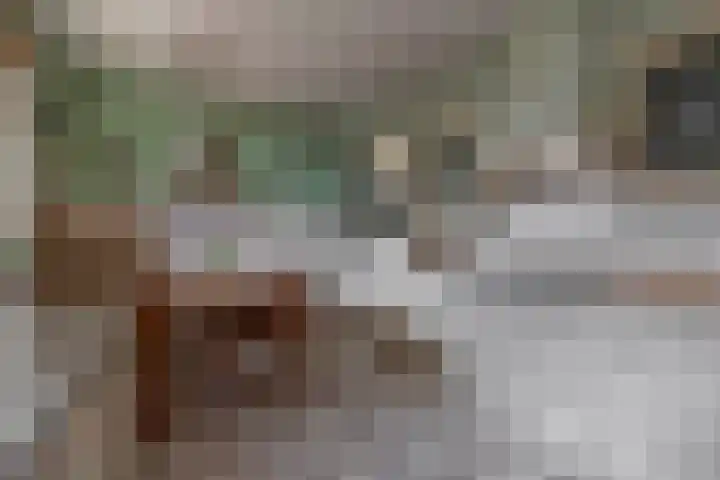 Noordeinde 5 Zevenhuizen thumbnail 14