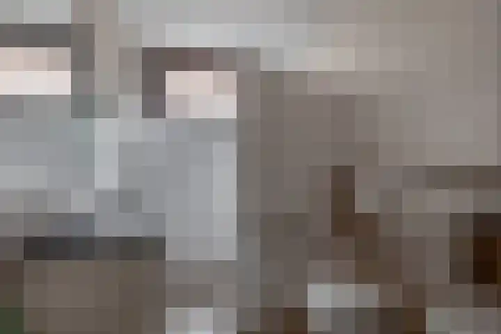 Noordeinde 5 Zevenhuizen thumbnail 16