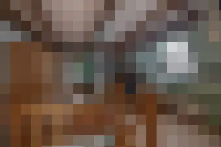Noordeinde 5 Zevenhuizen thumbnail 20