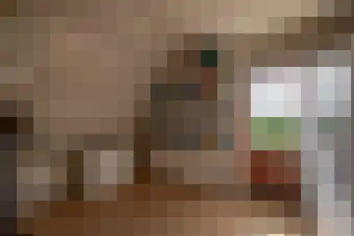 Noordeinde 5 Zevenhuizen thumbnail 21