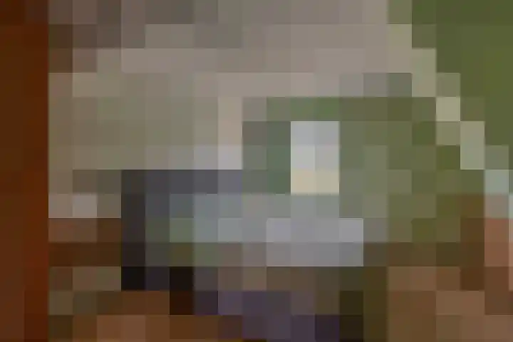 Noordeinde 5 Zevenhuizen thumbnail 24