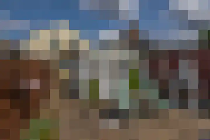 Noordeinde 5 Zevenhuizen thumbnail 26