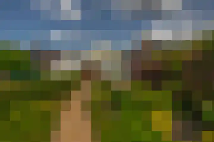 Noordeinde 5 Zevenhuizen thumbnail 27