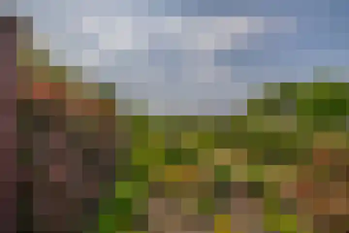 Noordeinde 5 Zevenhuizen thumbnail 33
