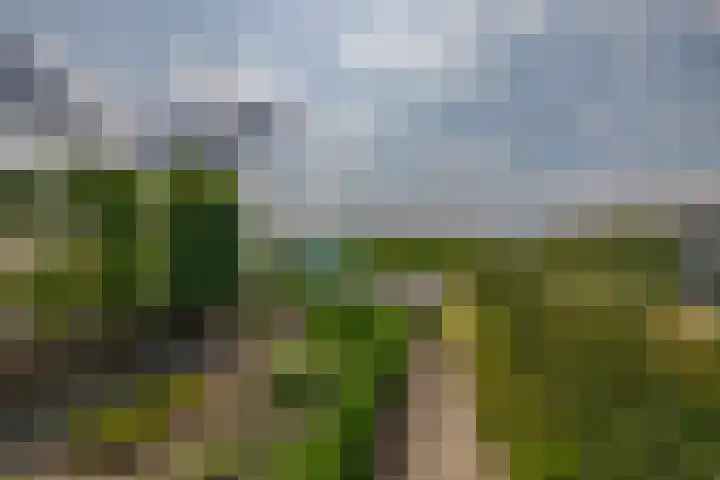 Noordeinde 5 Zevenhuizen thumbnail 34