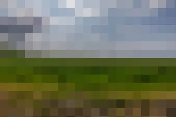 Noordeinde 5 Zevenhuizen thumbnail 35