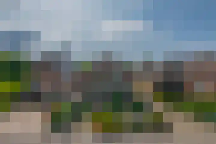 Noordeinde 5 Zevenhuizen thumbnail 36