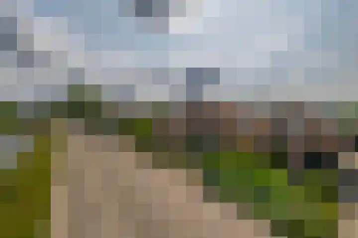 Noordeinde 5 Zevenhuizen thumbnail 38