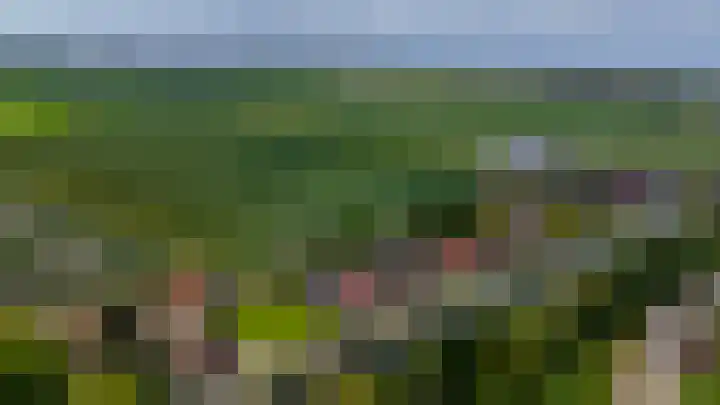 Noordeinde 5 Zevenhuizen thumbnail 39