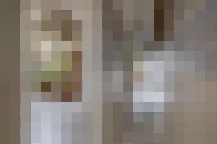 Noordeinde 5 Zevenhuizen thumbnail 4