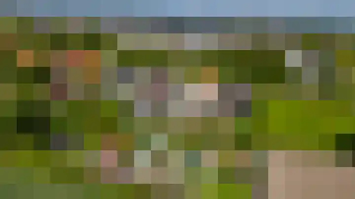 Noordeinde 5 Zevenhuizen thumbnail 40