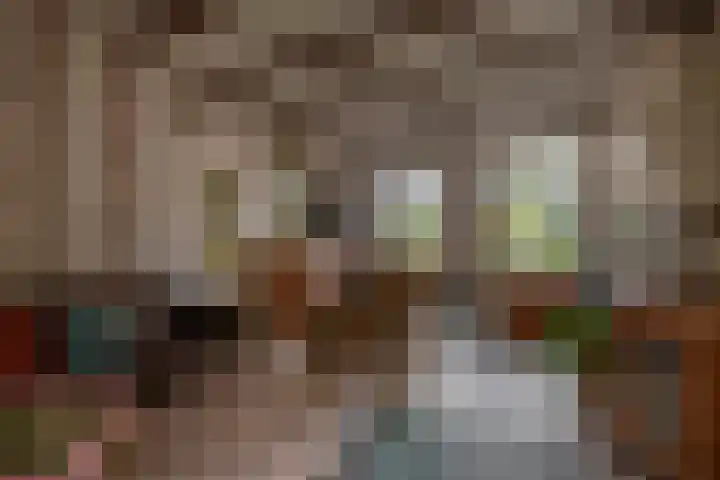 Noordeinde 5 Zevenhuizen thumbnail 7