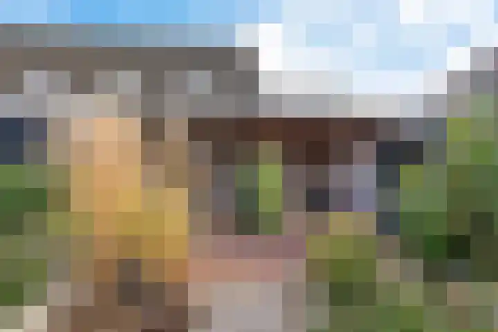 Noordeinde 53 Aarlanderveen thumbnail 32