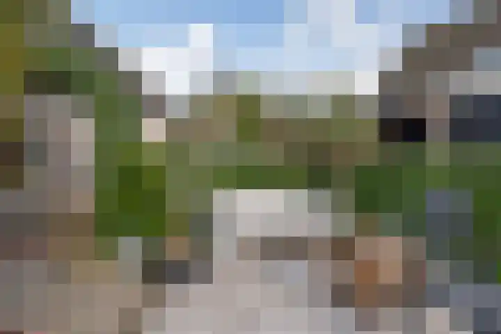 Noordeinde 53 Aarlanderveen thumbnail 33