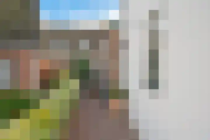 Noordeinde 53 Aarlanderveen thumbnail 36