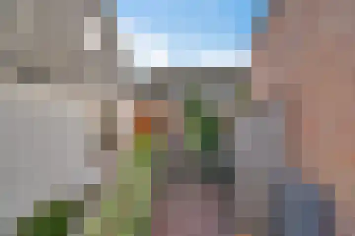 Noordeinde 53 Aarlanderveen thumbnail 37