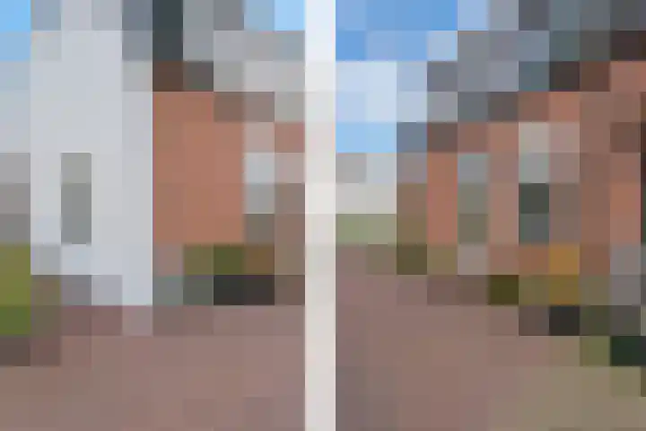 Noordeinde 53 Aarlanderveen thumbnail 6