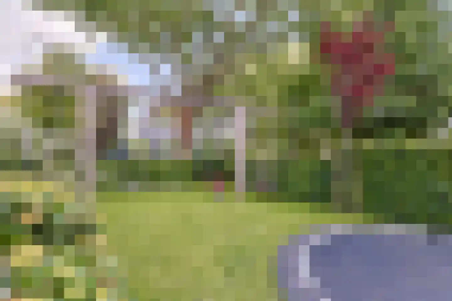 Noordeinde 54 A Aarlanderveen thumbnail 10