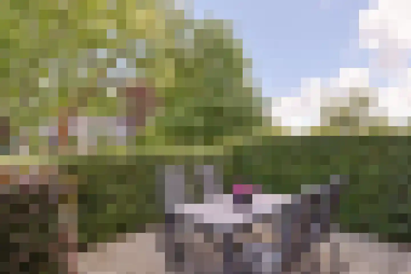Noordeinde 54 A Aarlanderveen thumbnail 11