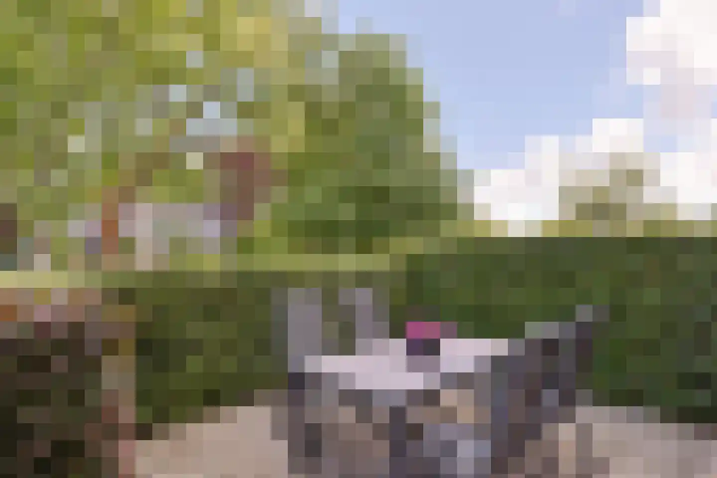 Noordeinde 54 A Aarlanderveen thumbnail 11